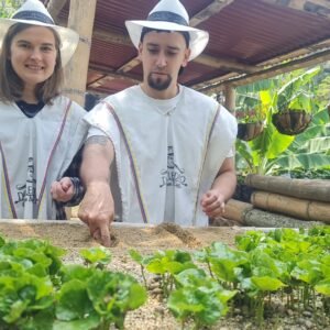 Temazcal Ancestral Coffee Therapy Tour