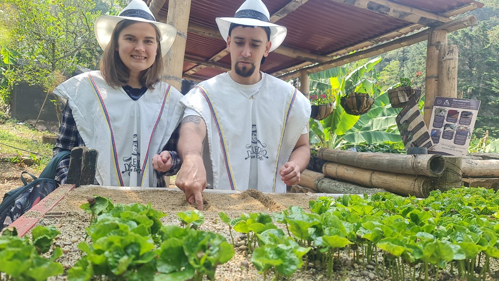 Temazcal Ancestral Coffee Therapy Tour