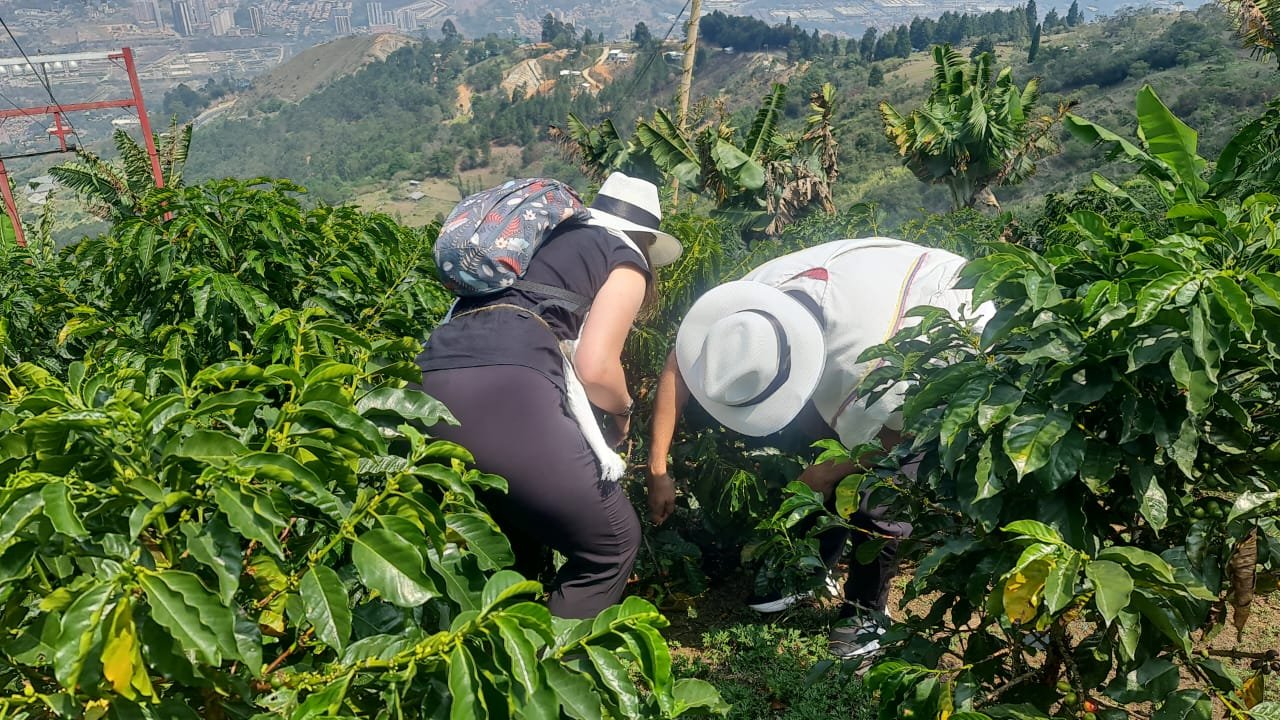 Temazcal Ancestral Coffee Therapy Tour - Image 4